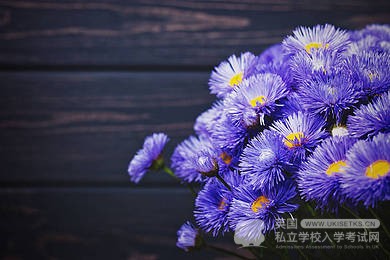 UKiset写作高分句式表达50句！