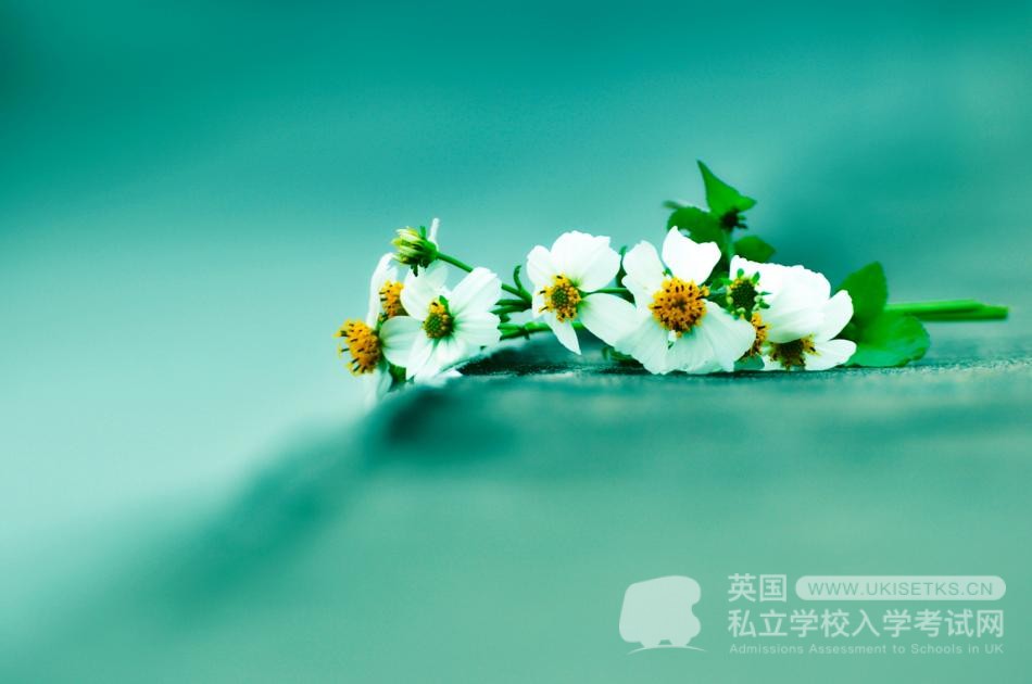UKiset考试中常见的十类句型