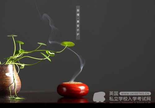 Ukiset词汇考试备考：冠词内容的学习