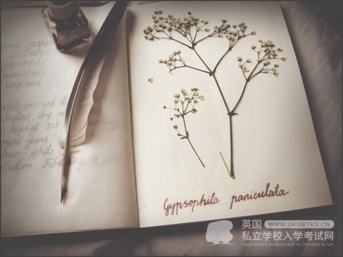 UKiset考试中的语义题如何解答？