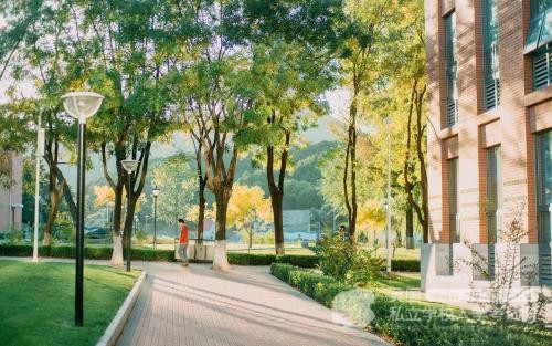 Ukiset数学考试备考关于三角形的易错点