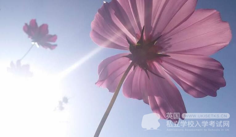 Ukiset英语作文的10个简单原则（1）