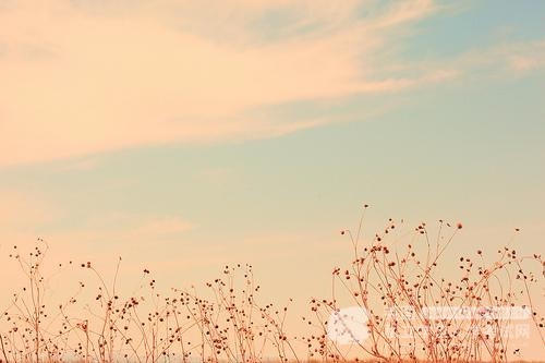 Ukiset数学考试​备考方法，你了解吗