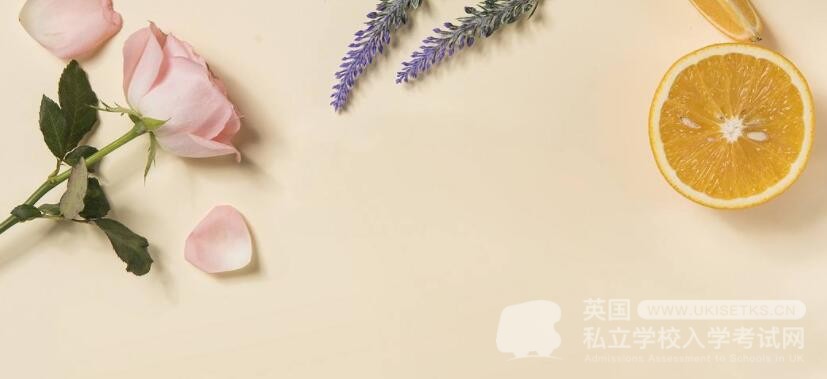 Ukiset作文考试技巧：提炼字词句