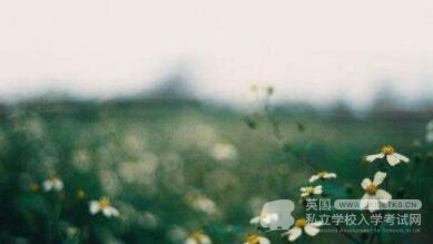 Ukiset写作考试范文：怎样学好英语