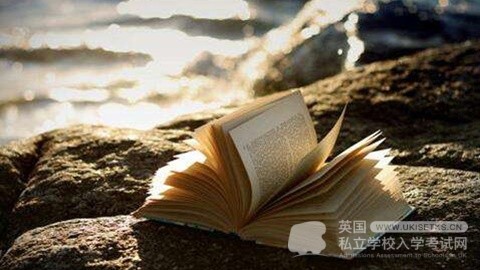 留学生数量不降反升，悉尼大学中国留学生人数创下新高