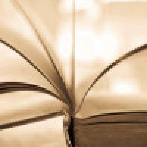 ukiset双语阅读：史蒂夫·班农在特朗普行离开Breitbart新闻