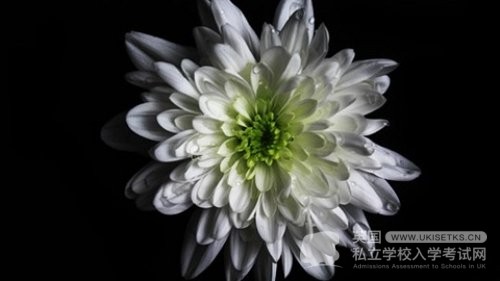 UKiset英语形容词性和名词性物主代词总结