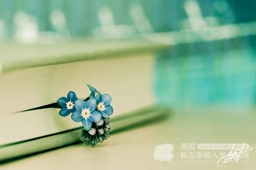 UKiset考试中遇到生词怎么办？