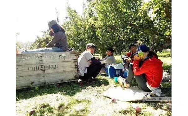 Ukiset写作备考：议论文的误区分析