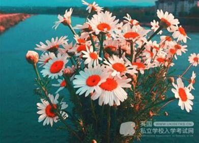 UKiset英语考试备考练习题