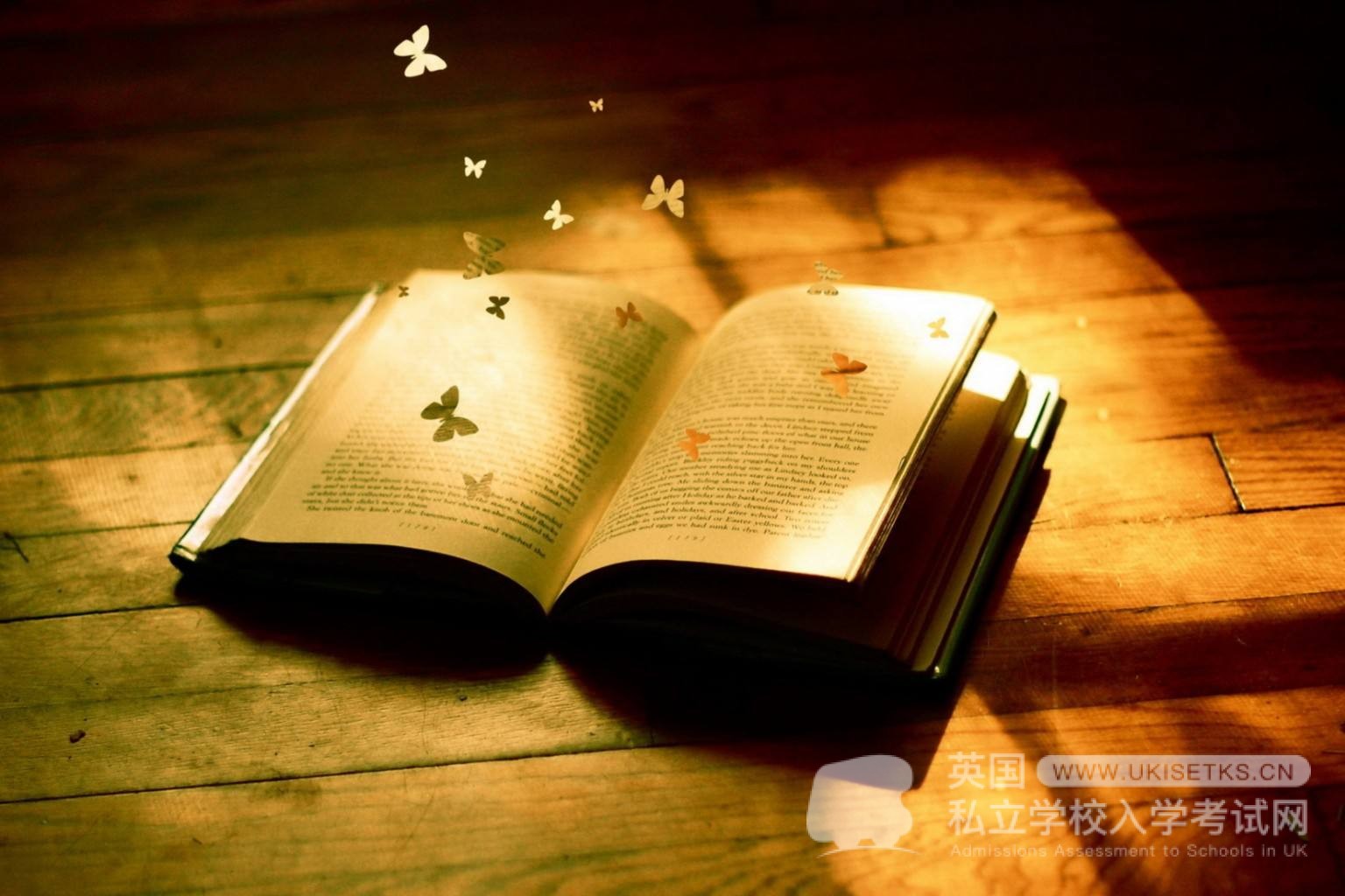 UKiset数学备考：如何理解函数概念