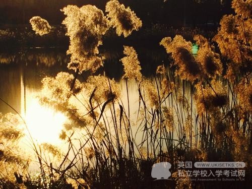 Ukiset英语备考这些单词你都掌握了吗