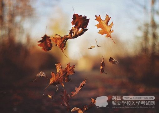 Ukiset英语阅读备考练习：欧式聚会