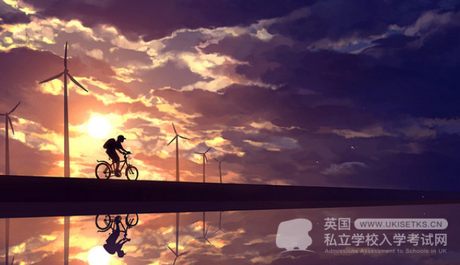 Ukiset阅读题目及详细解析：Mother's love