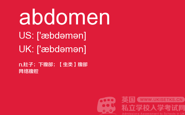 【abdomen】 - UKiset备考词汇