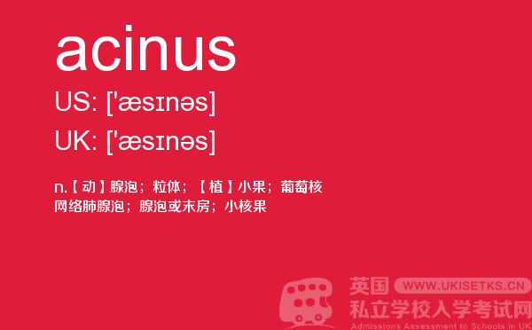 【acinus】 - UKiset备考词汇