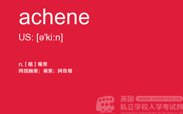 【achene】 - UKiset备考词汇