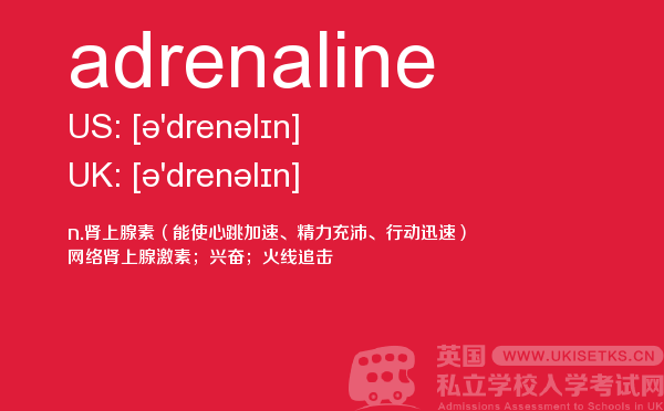 【adrenaline】 - UKiset备考词汇