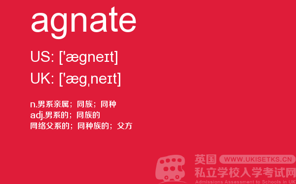 【agnate】 - UKiset备考词汇