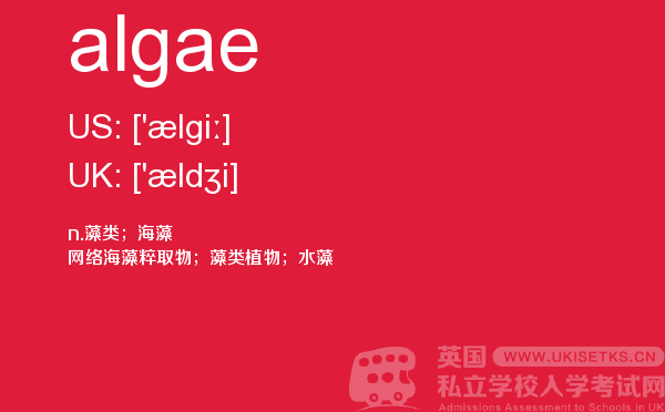【algae】 - UKiset备考词汇