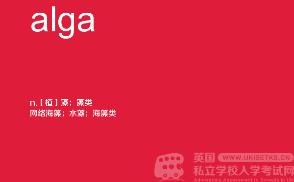 【alga】 - UKiset备考词汇