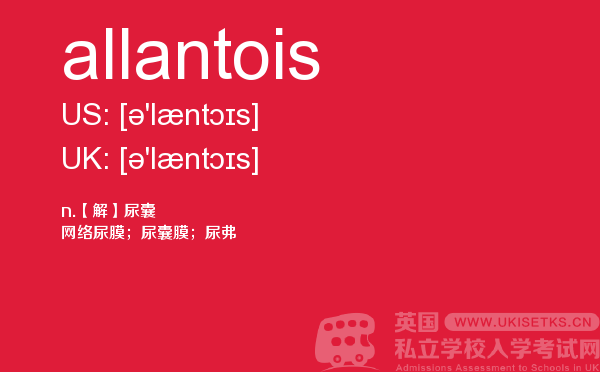 【allantois】 - UKiset备考词汇