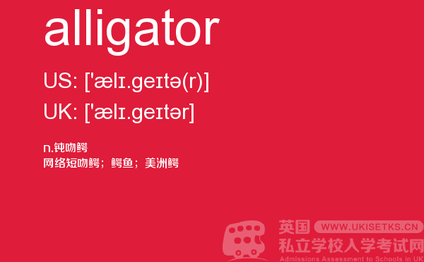 【alligator】 - UKiset备考词汇