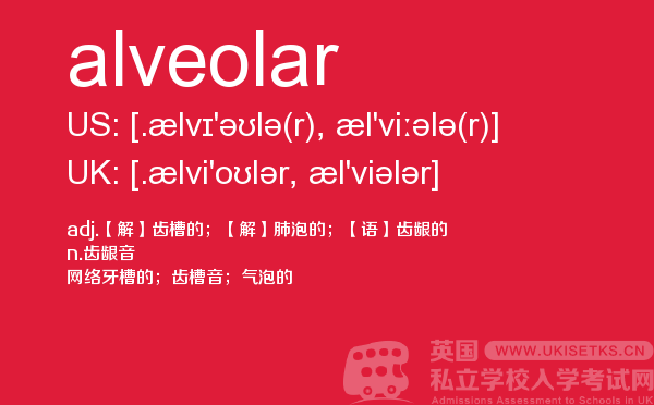 【alveolar】 - UKiset备考词汇
