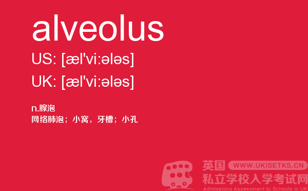 【alveolus】 - UKiset备考词汇