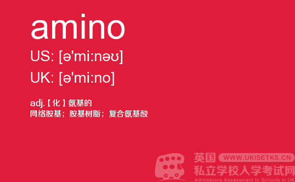 【amino】 - UKiset备考词汇