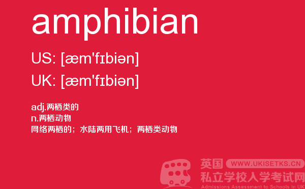 【amphibian】 - UKiset备考词汇
