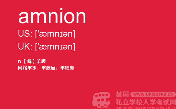 【amnion】 - UKiset备考词汇