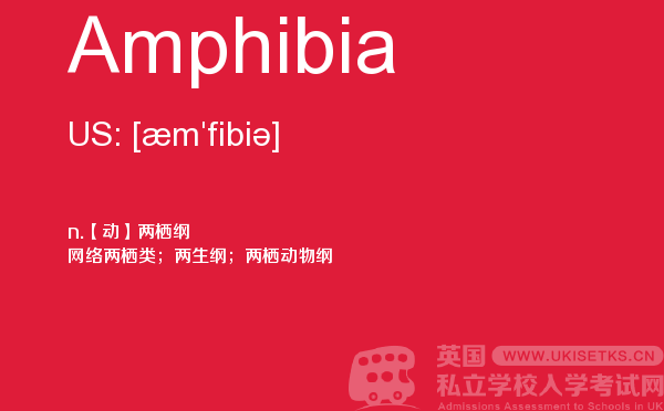 【Amphibia】 - UKiset备考词汇
