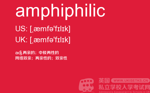 【amphiphilic】 - UKiset备考词汇