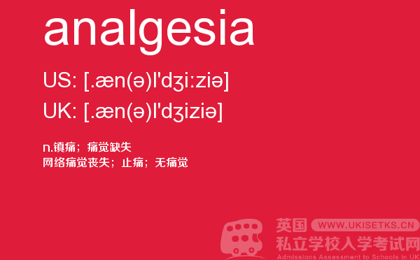 【analgesia】 - UKiset备考词汇