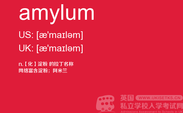 【amylum】 - UKiset备考词汇