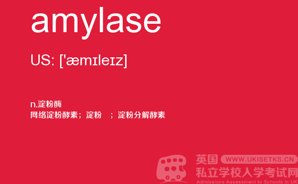 【amylase】 - UKiset备考词汇
