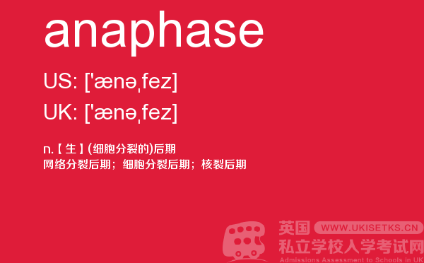 【anaphase】 - UKiset备考词汇