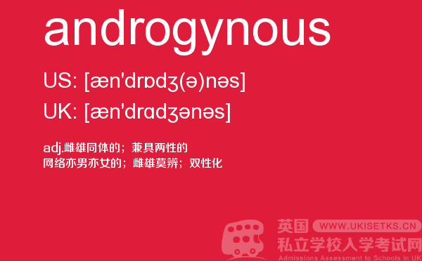 【androgynous】 - UKiset备考词汇