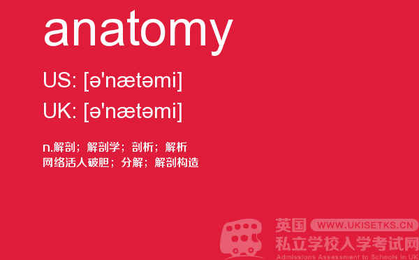 【anatomy】 - UKiset备考词汇