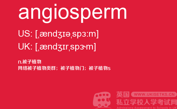 【angiosperm】 - UKiset备考词汇
