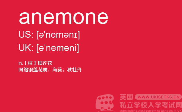 【anemone】 - UKiset备考词汇