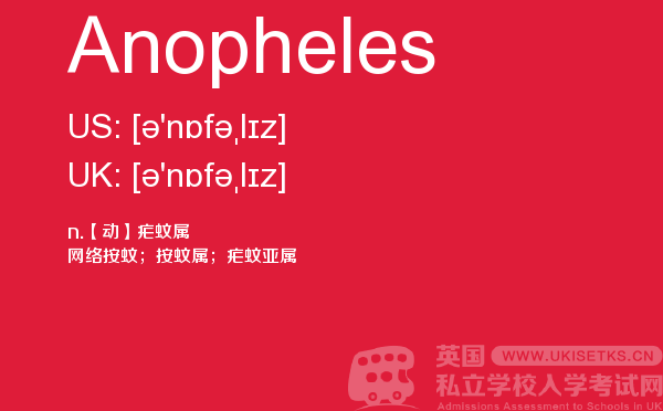 【Anopheles】 - UKiset备考词汇