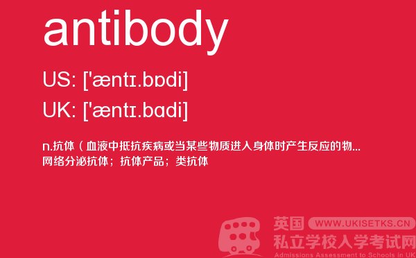 【antibody】 - UKiset备考词汇