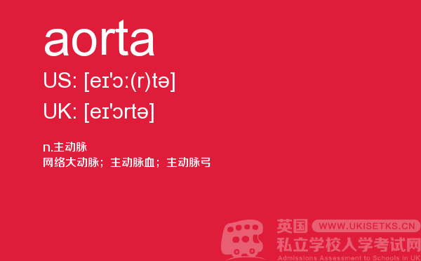 【aorta】 - UKiset备考词汇