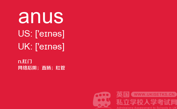 【anus】 - UKiset备考词汇
