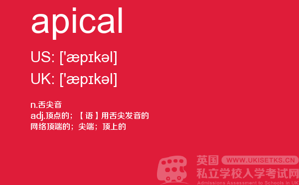 【apical】 - UKiset备考词汇