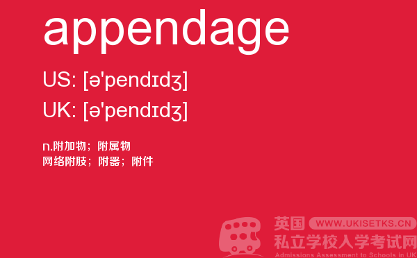 【appendage】 - UKiset备考词汇