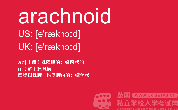 【arachnoid】 - UKiset备考词汇